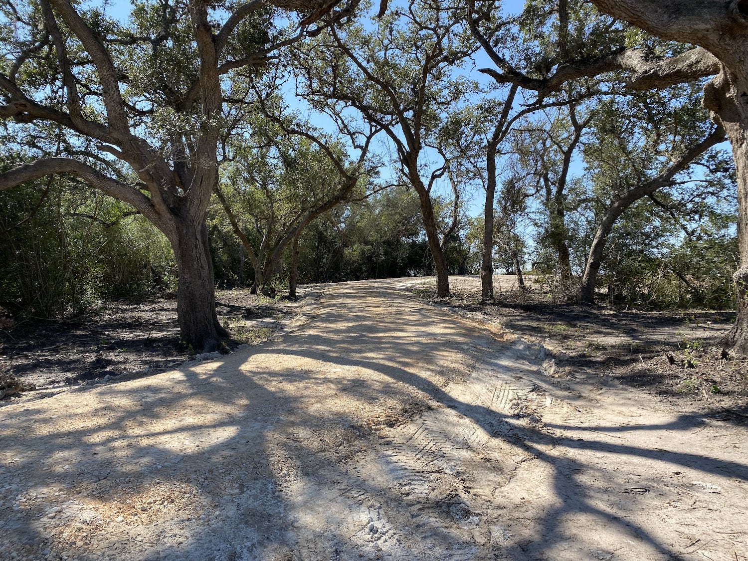 Land Construction Premier Ranch Properties