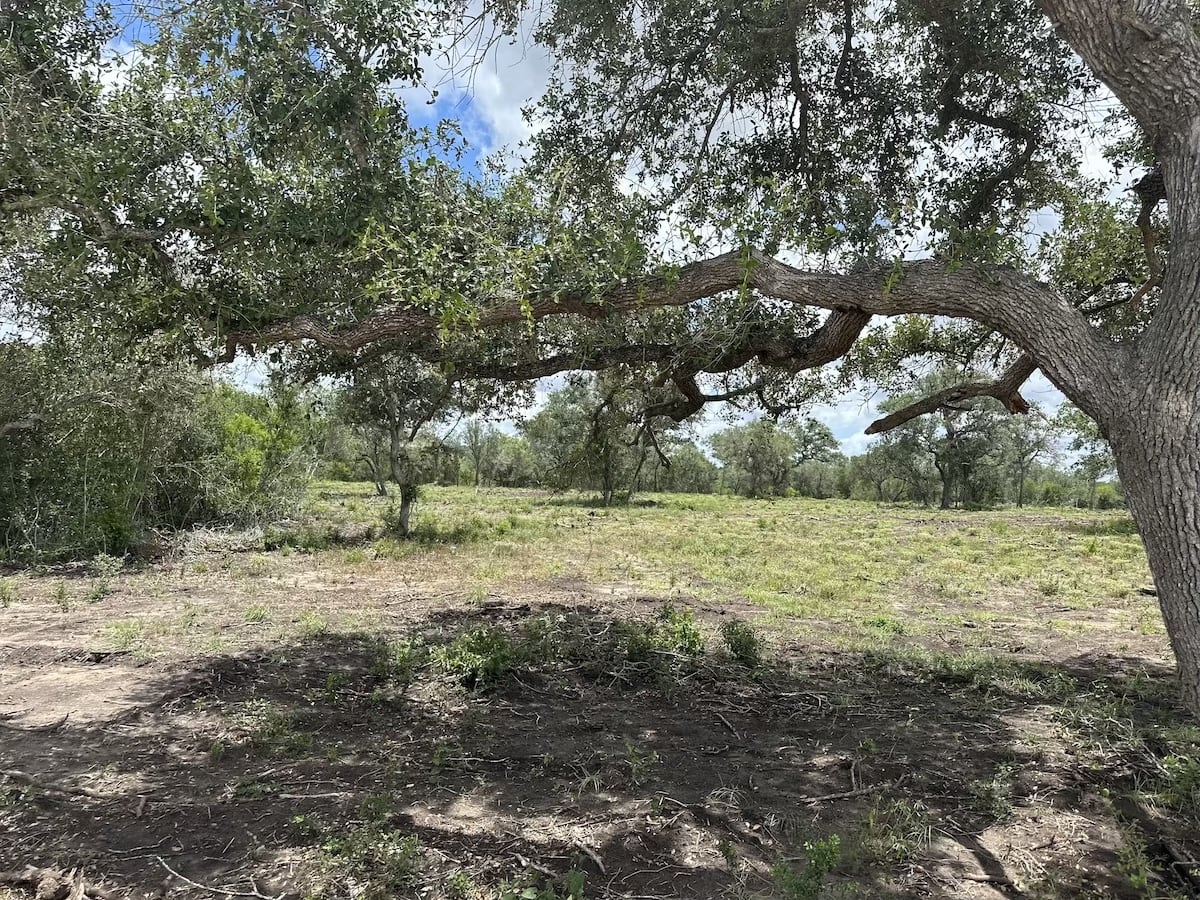 Current Listings Premier Ranch Properties