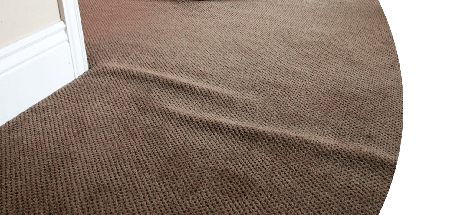 stretching cut Premium Carpet Care