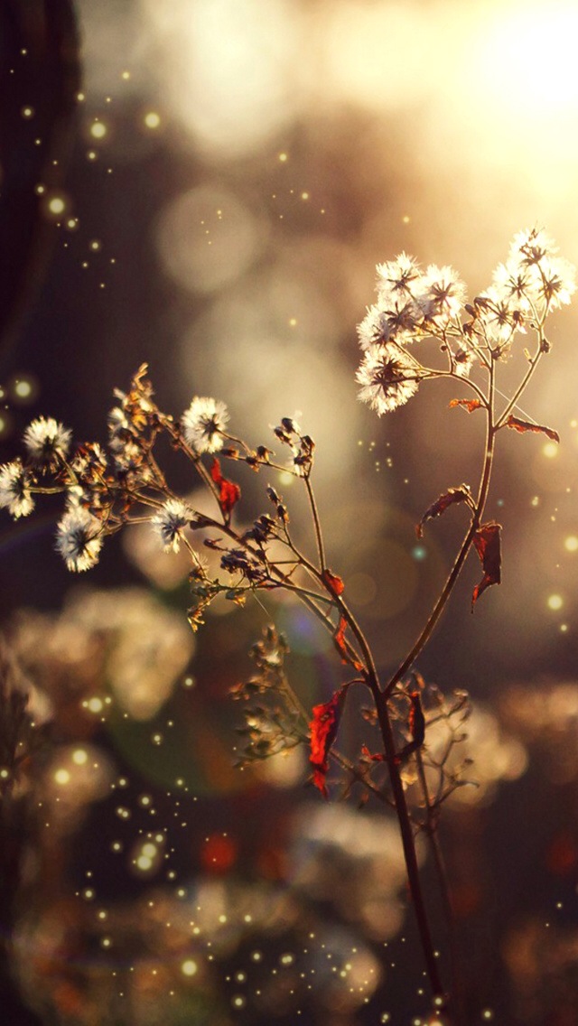 MODERN FREE IPHONE WALLPAPERS NO.3 PremiumCoding