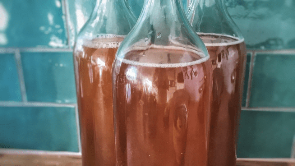 Crazy For Kombucha Labeling and Compliance Regulations For Fermented Tea • Premium Label