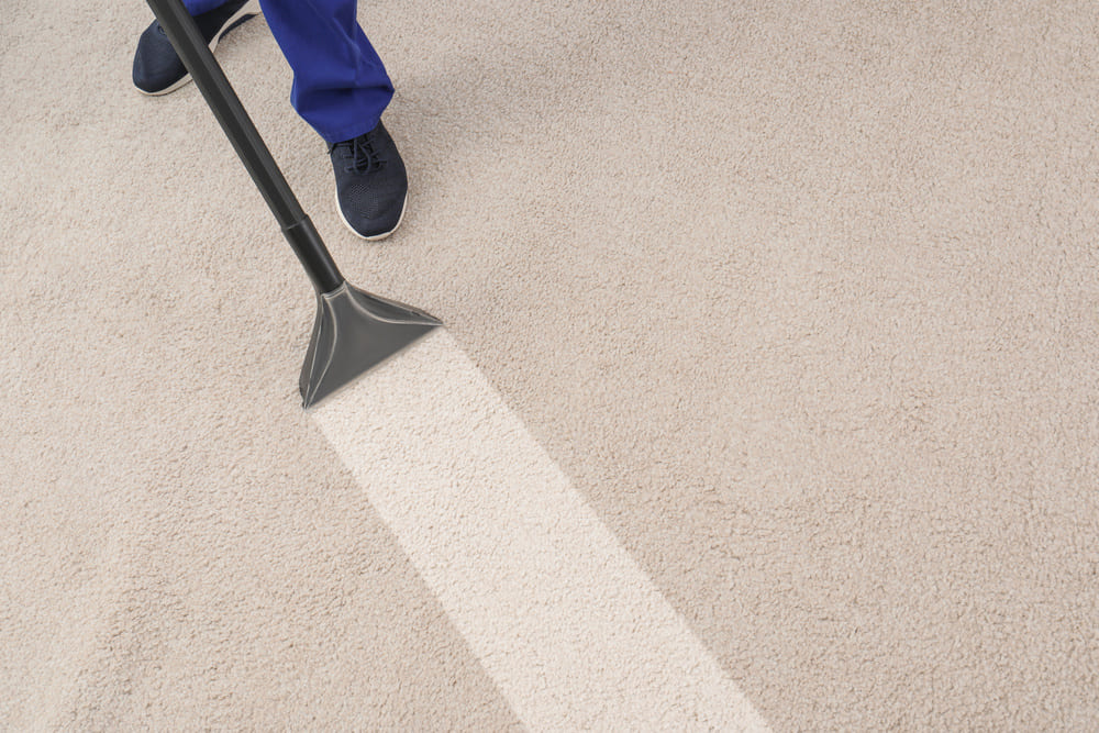6 Reasons to Have Your Carpets Professionally Cleaned Premium