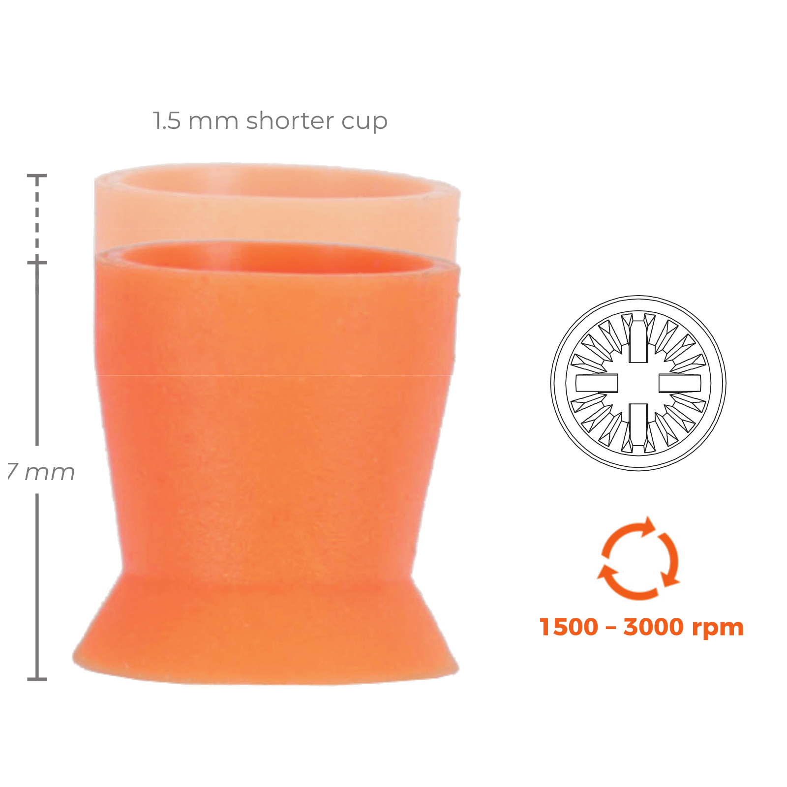 Short Prophy Cup Metal Shank Ribbed and bed CA Premium Plus