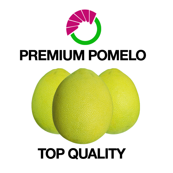 Premium Pomelo Premium Pomelos of Davao at Affordable Prices