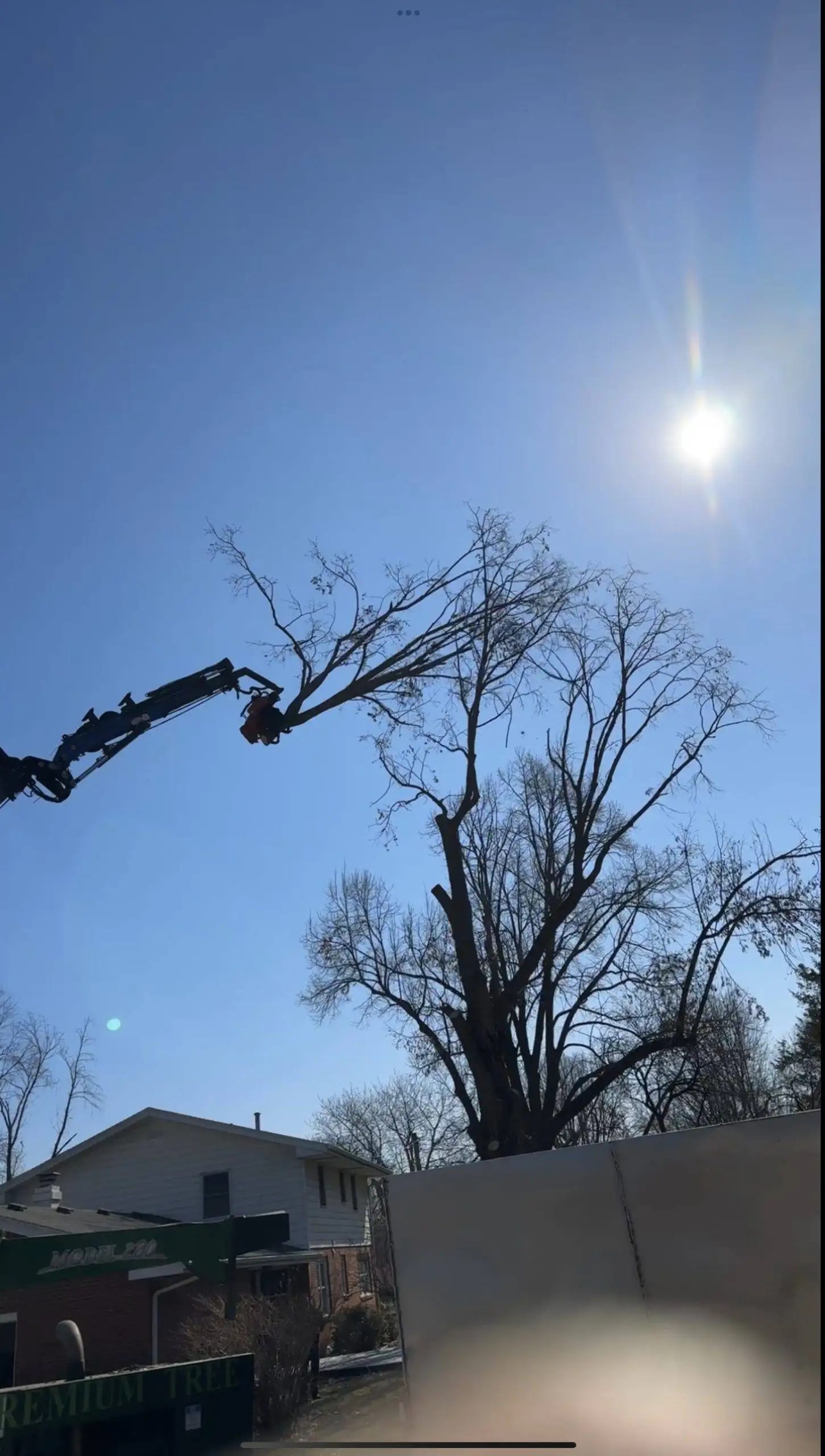 Gallery Premium Tree Service Des Moines, IA