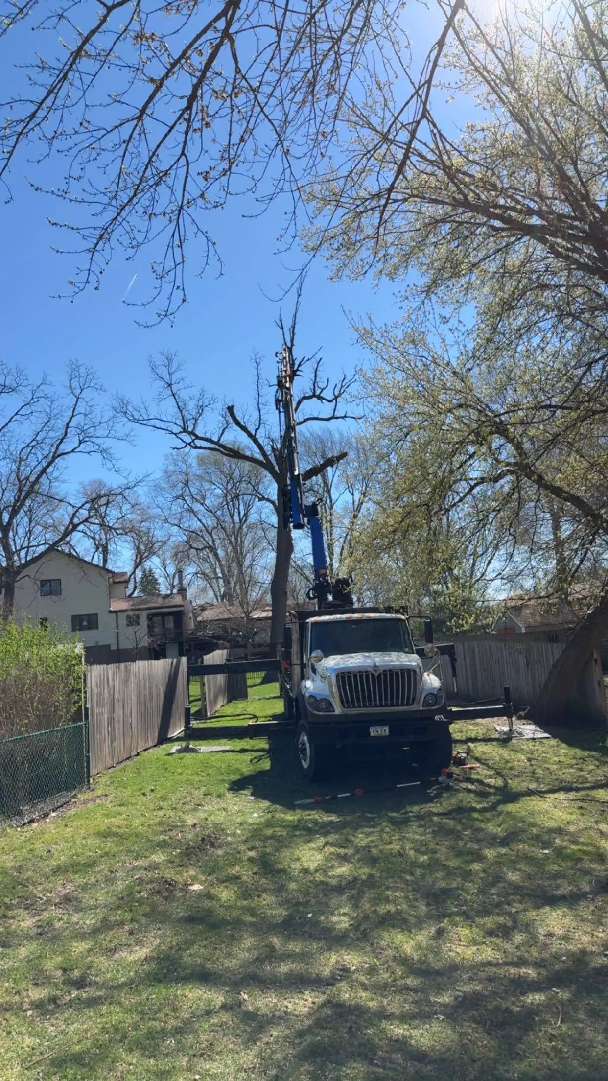 Gallery Premium Tree Service Des Moines, IA