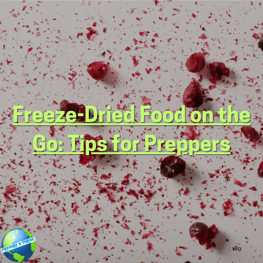 FreezeDried Food on the Go Tips for Preppers