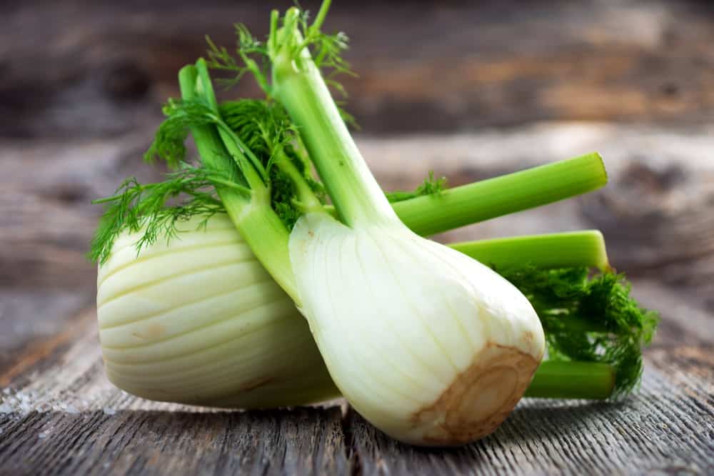 Does Fennel Go Bad? Full Analysis