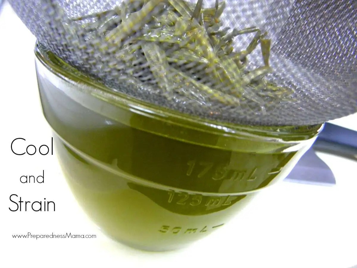 How to Make an Herb Infused Oil PreparednessMama