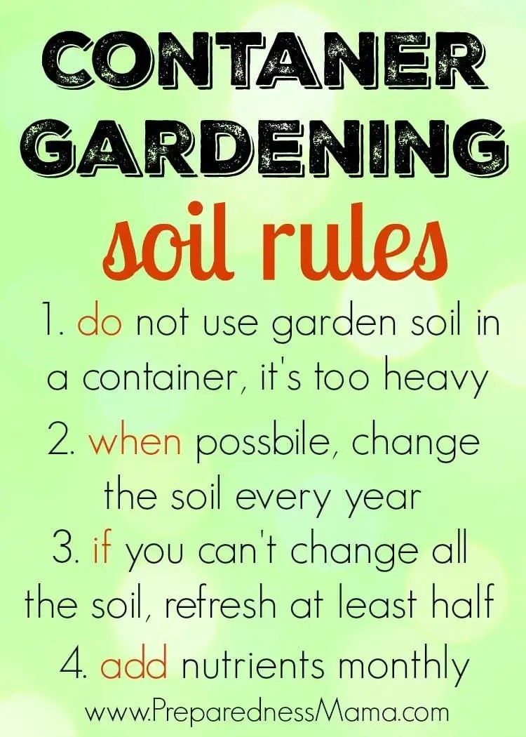 5 Container Gardening Tricks