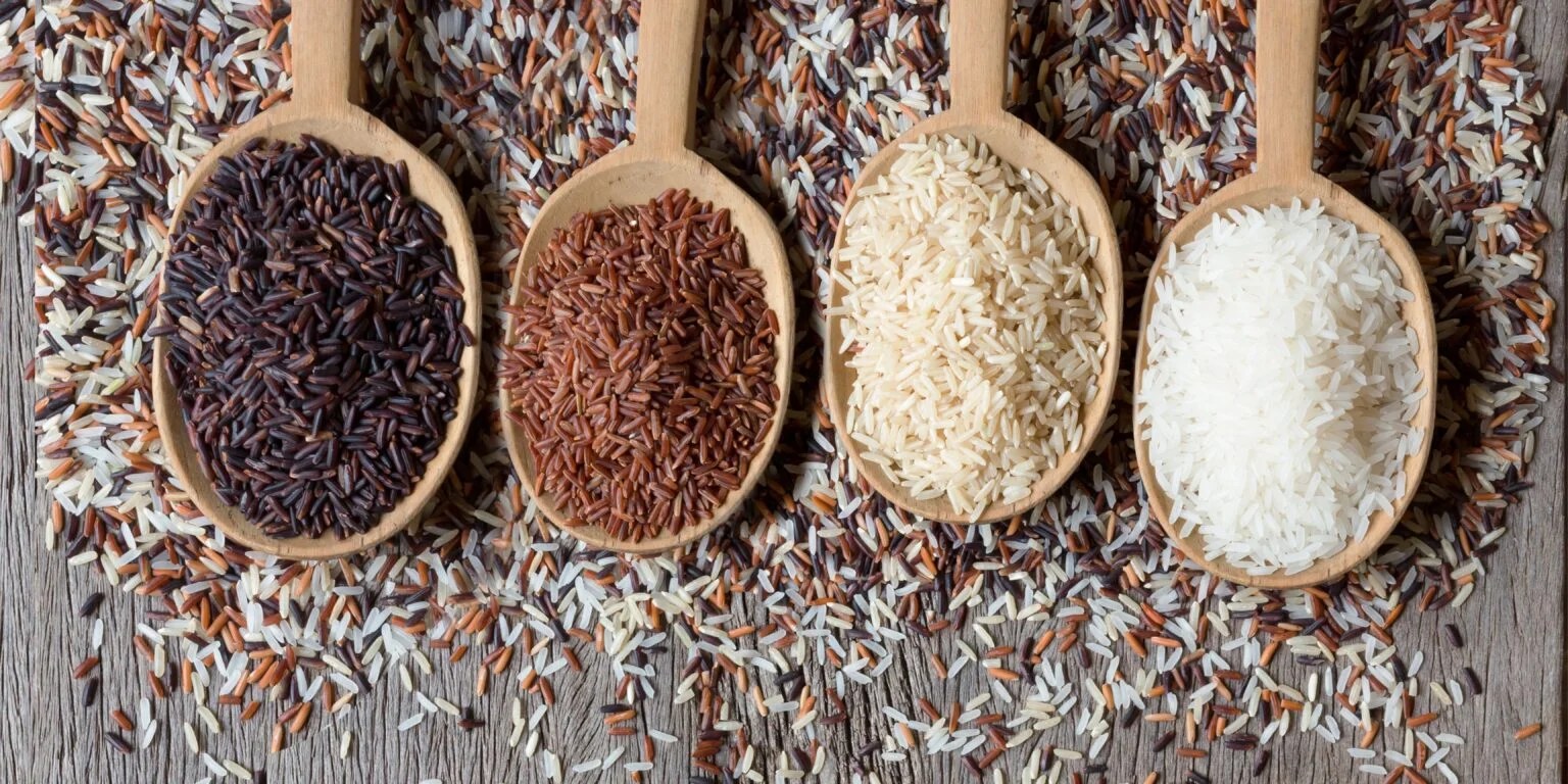 How To Properly Store Quinoa LongTerm So It Doesn't Go Bad Preparing