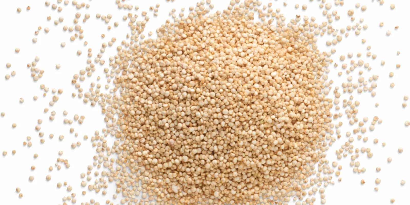 How To Properly Store Quinoa LongTerm So It Doesn't Go Bad Preparing