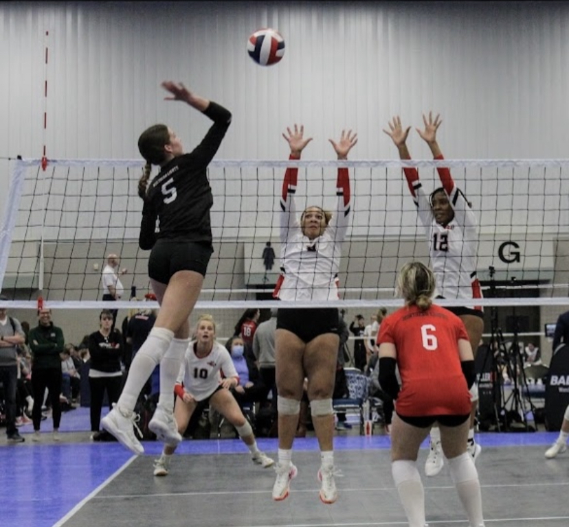 Sydney Jaynes Prep Dig