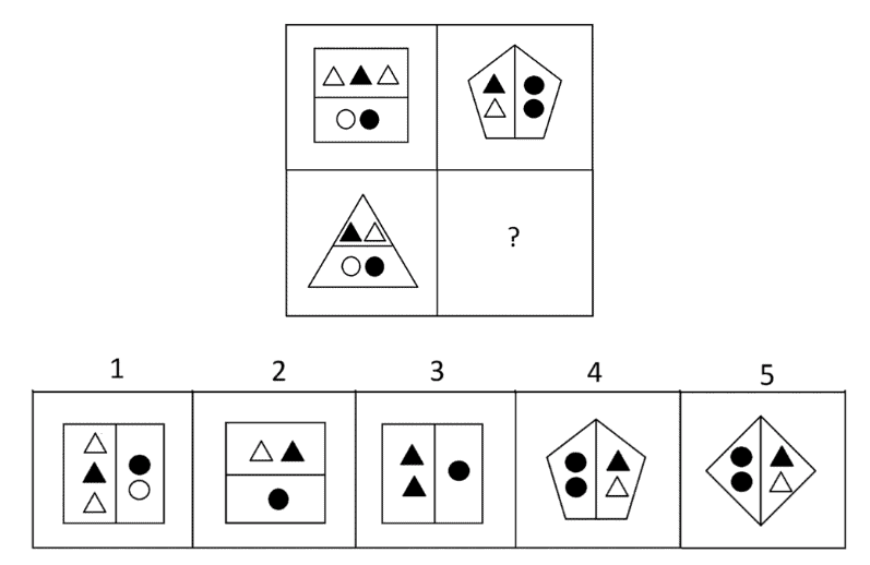CAT4 Level E (Year 8) Sample Test PrepOpedia