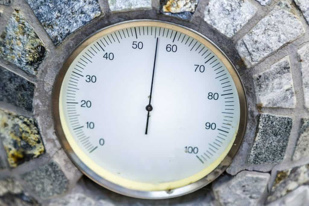 A Few Tips For Building A Proper Root Cellar