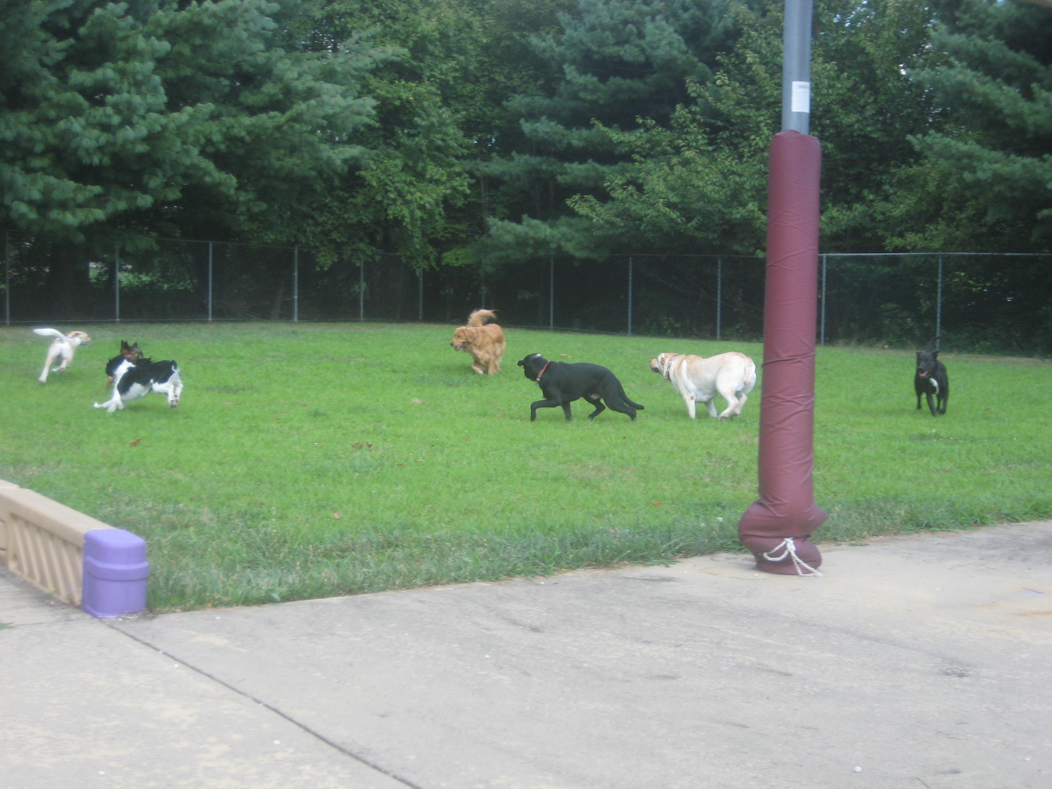 Preppy Pet Warmister Pet Boarding Warmister, PA