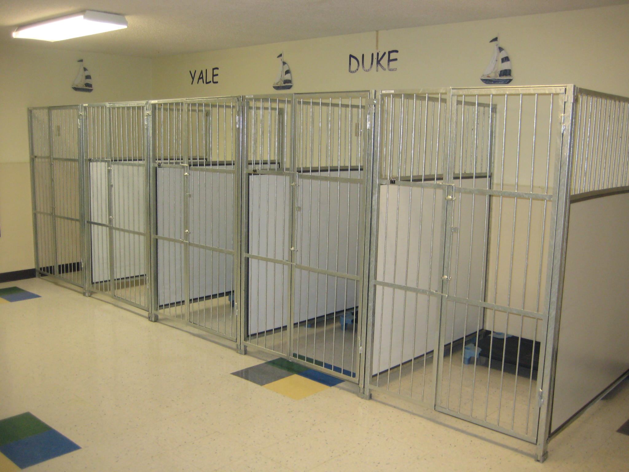 Preppy Pet Warmister Pet Boarding Warmister, PA