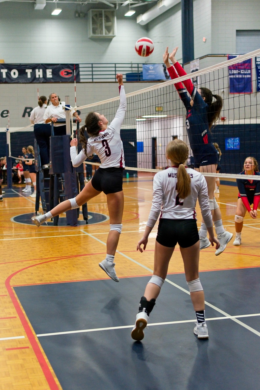 Effingham County High School Digs Senior Night Early in 2020 Prep