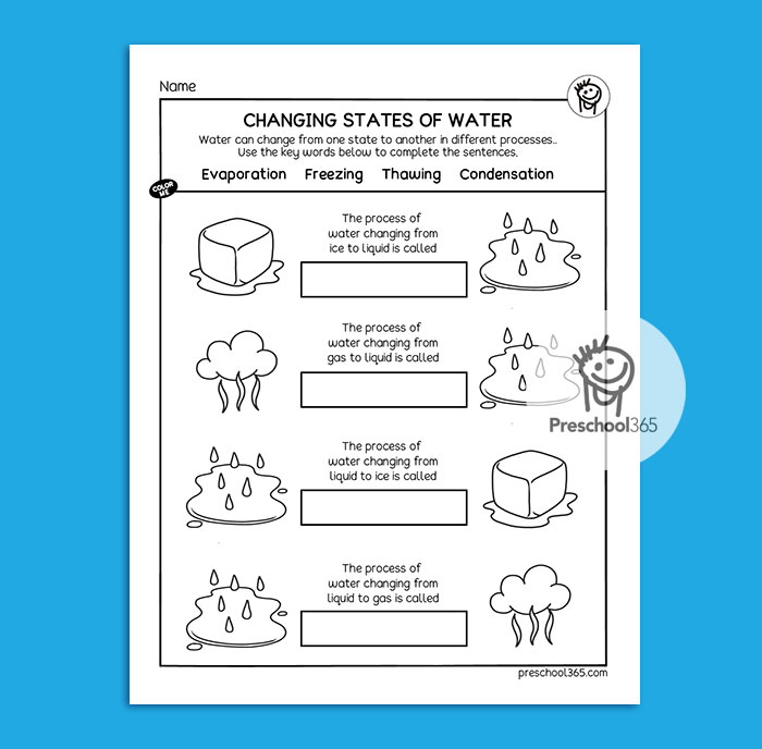 Water Science Activity Packet (14pages)