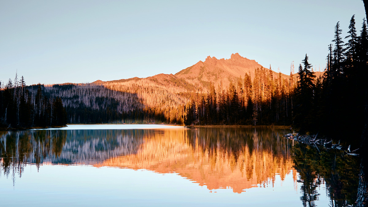 Oregon Background Check Staffing Services PreSearch