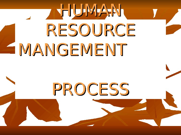 HUMAN RESOURCE MANGEMENT