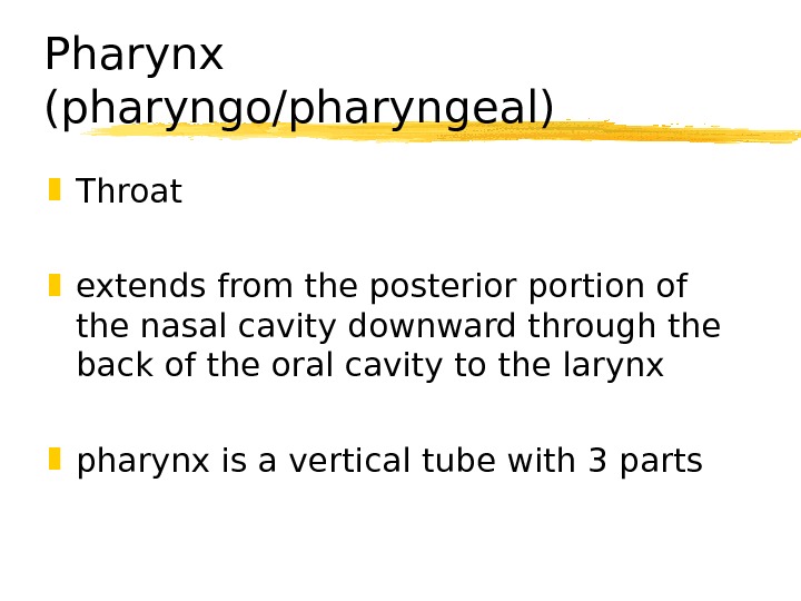 The Speech Mechanism Speech is an overlaid