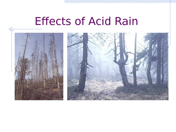 Definition of Acid Rain Precipitation that has