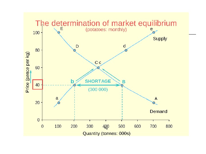 Introduction to Economics Microeconomics Price Determination Key
