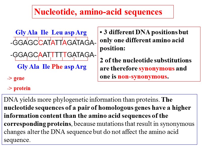 The Code The Reading Frames tRNA (clover
