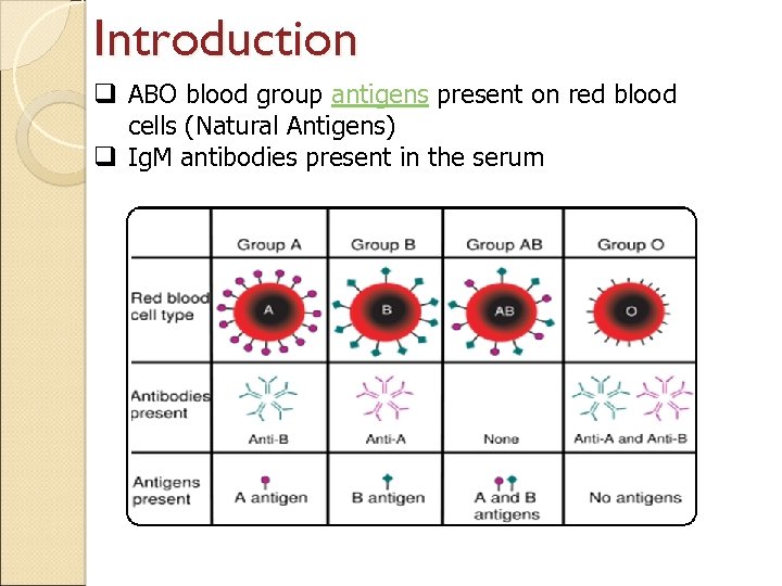 Practical Blood Bank Lab 1 ABO Grouping