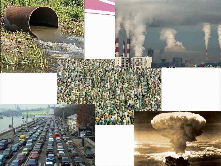 Environmental protection The most serious environmental problems
