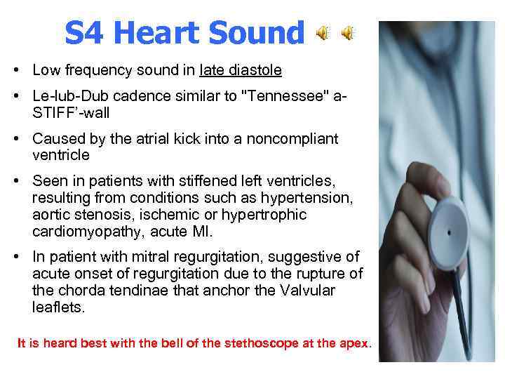 Heart Sounds Murmurs The Stethoscope