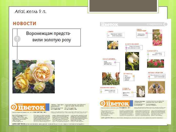 Дипломная работа На тему художественно техническое редактирование