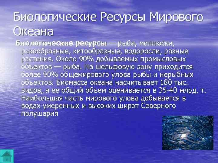Оглавление проекта Мировой Океан Ресурсы Мирового