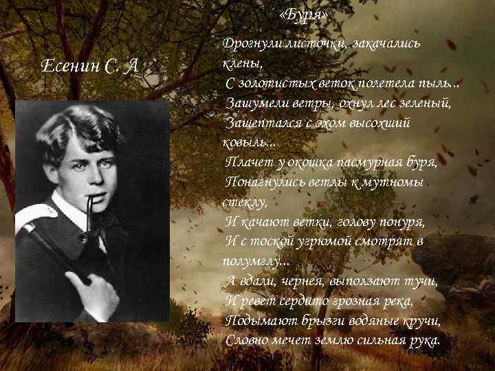 Стихи русских поэтов 19 века о природе Русская