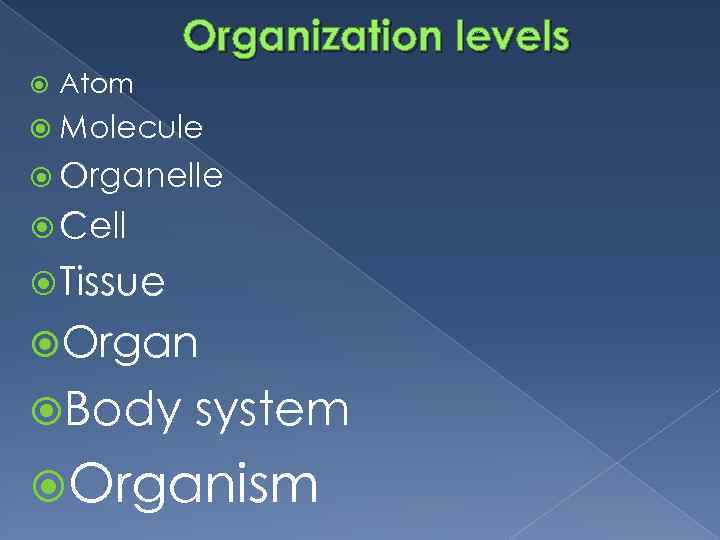 Biological Organisation Biological Organization Living Things In