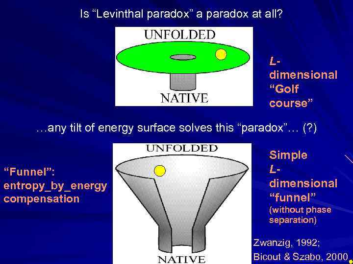 PROTEIN PHYSICS LECTURES 19 21 In vivo folding