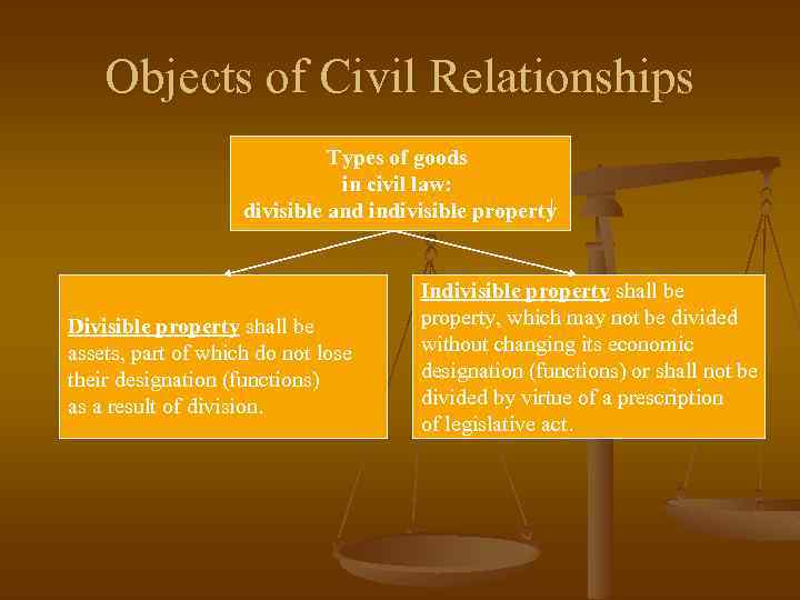 CIVIL LAW Lecture 7 Objects of Civil