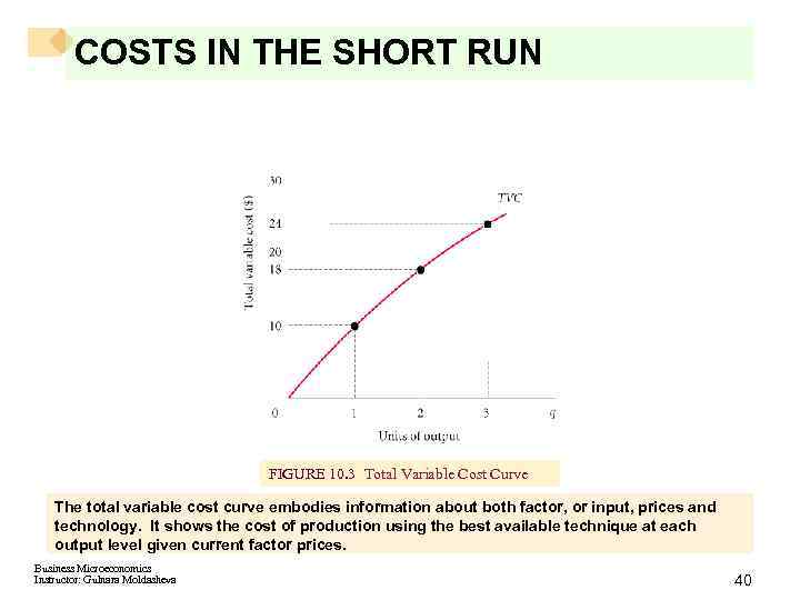 CHAPTER 11 Output and Costs Business Microeconomics Instructor