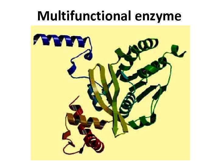 Вiochemistry of enzymes The overall Coenzyme role