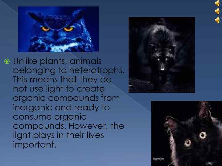 Factors affecting the distribution of animals on the