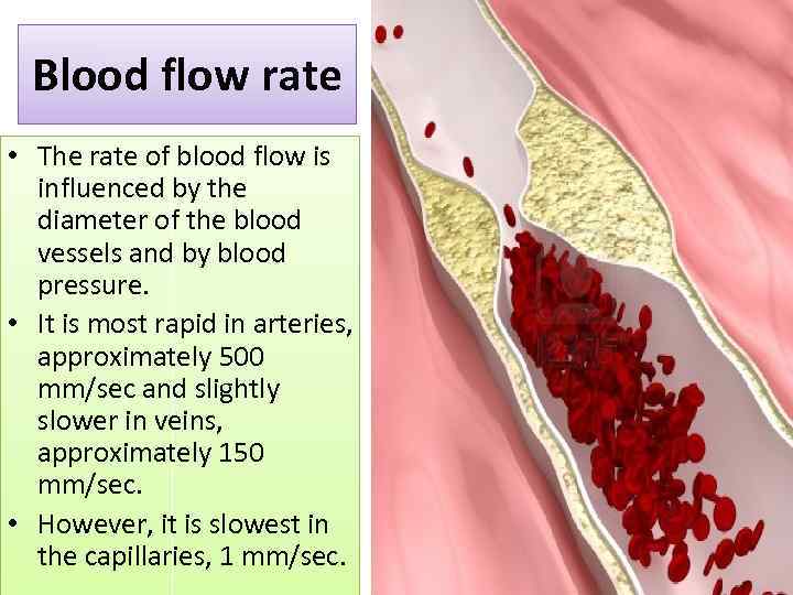 Human Circulatory system HCS Heart and blood