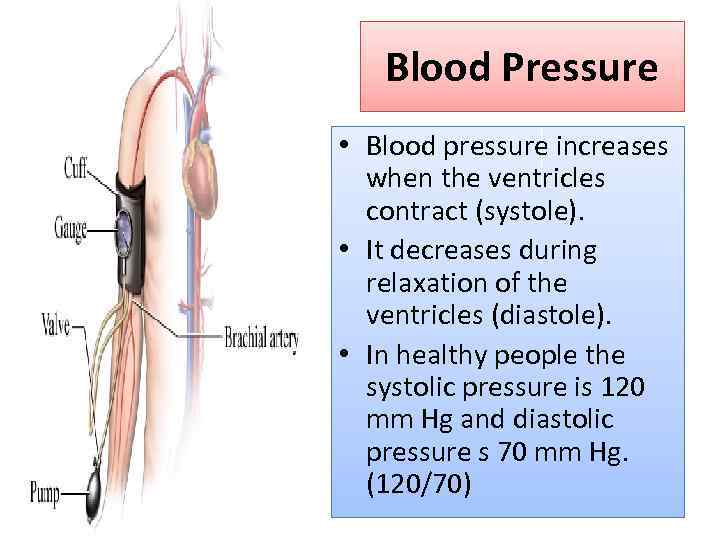 Human Circulatory system HCS Heart and blood