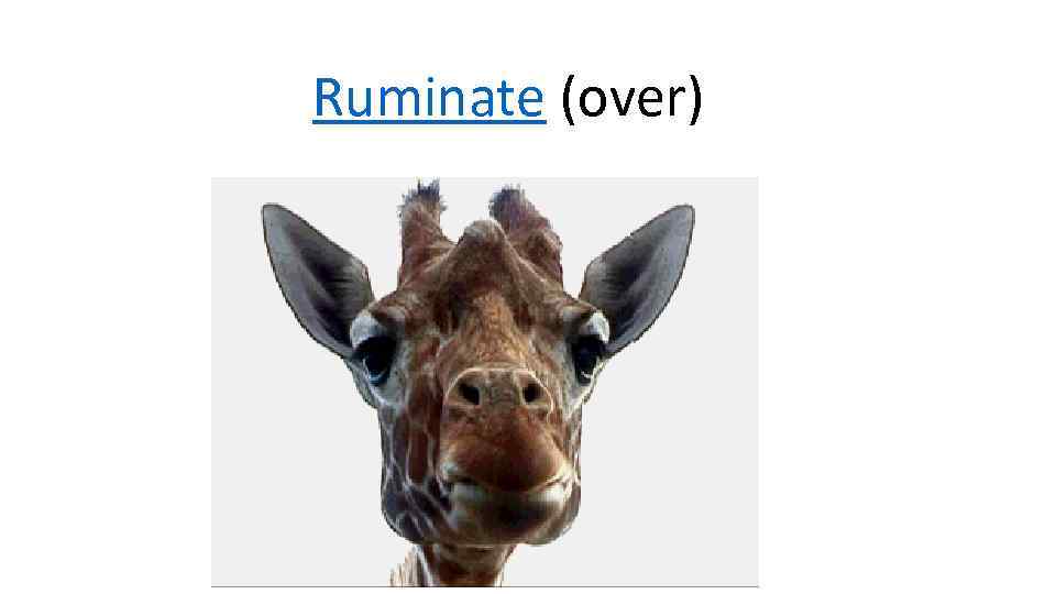 Ruminate over Uncanny Fr G kennen