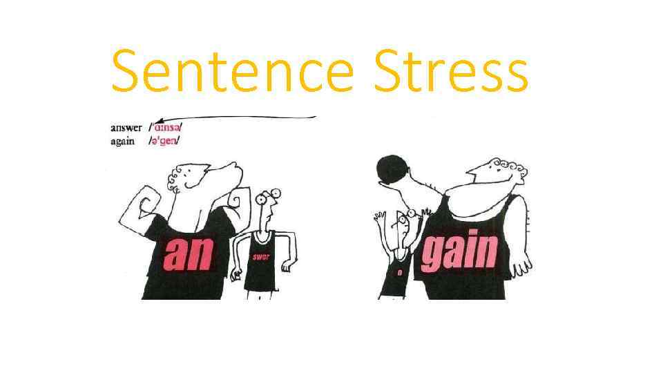 Sentence Stress The allocation of words with