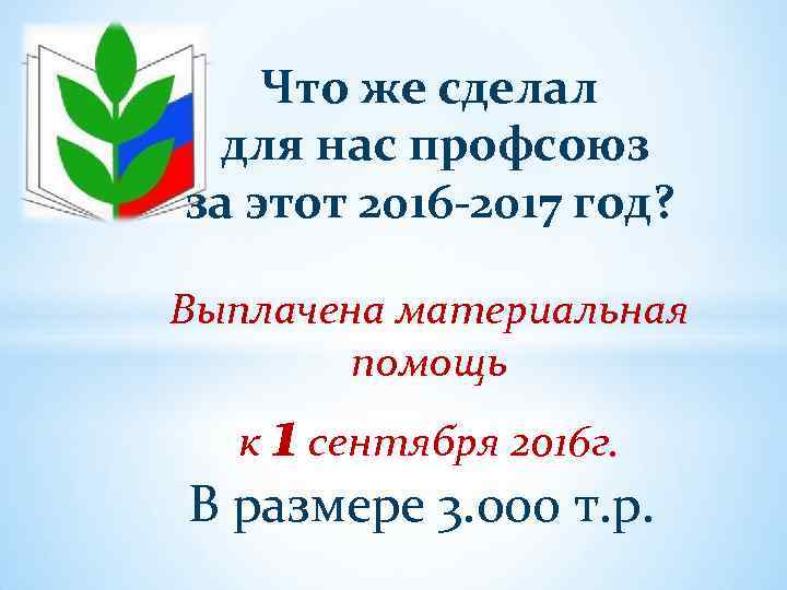 Первичная профсоюзная организация МБДОУ 295 Отчёт