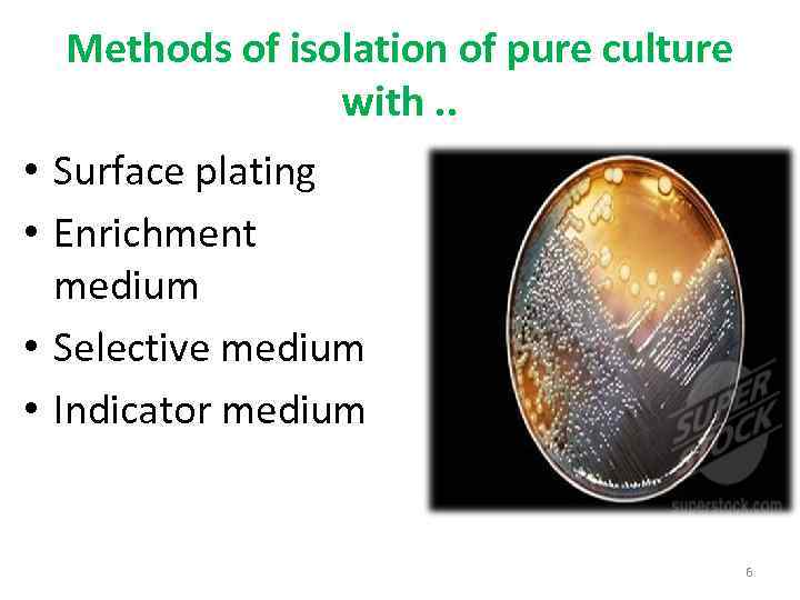 Bacterial Culture Methods By Konrad T Juszkiewicz MD