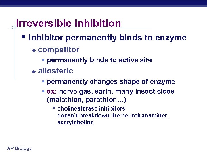Chapter 8 Metabolism Enzymes AP Biology