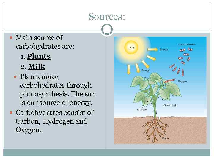 Carbohydrates SIMPLE VS COMPLEX CARBOHYDRATES FIBER