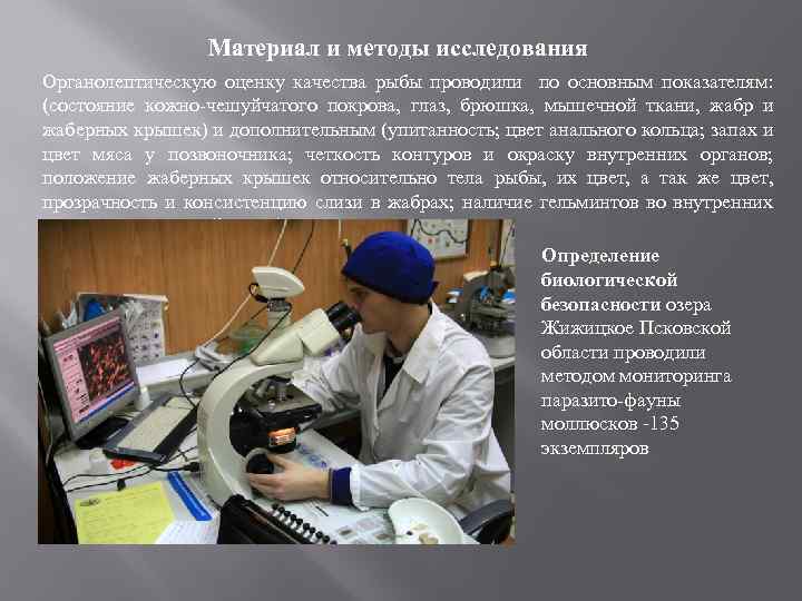 ДИПЛОМНАЯ РАБОТА ПО ТЕМЕ ВЕТЕРИНАРНОСАНИТАРНАЯ И ЭКОЛОГО
